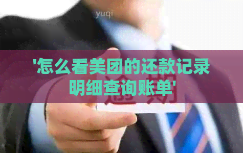 '怎么看美团的还款记录明细查询账单'