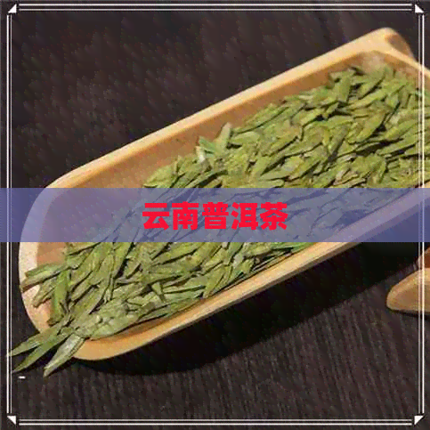 云南普洱茶