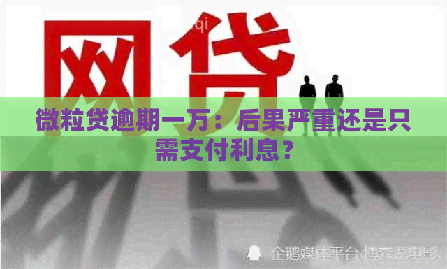 微粒贷逾期一万：后果严重还是只需支付利息？