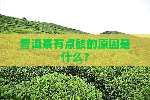 普洱茶有点酸的原因是什么？