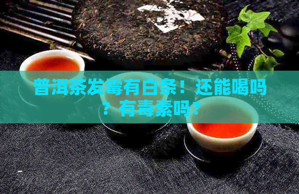 普洱茶发霉有白条！还能喝吗？有素吗？