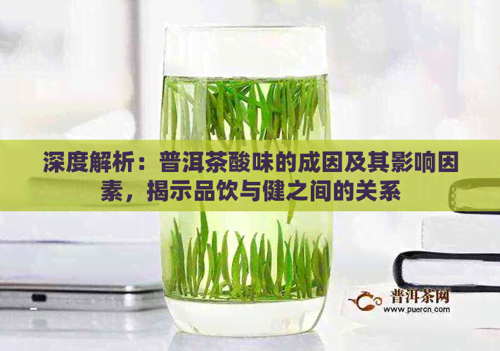 深度解析：普洱茶酸味的成因及其影响因素，揭示品饮与健之间的关系