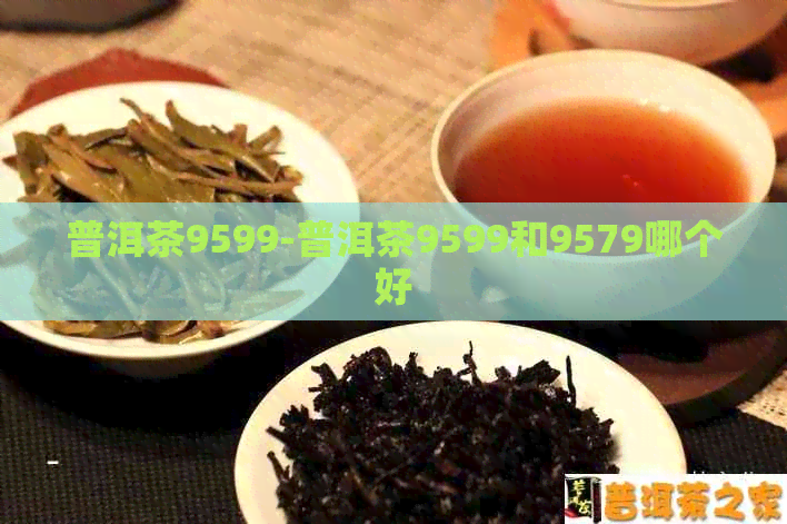 普洱茶9599-普洱茶9599和9579哪个好