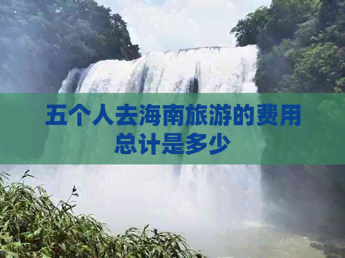 五个人去海南旅游的费用总计是多少