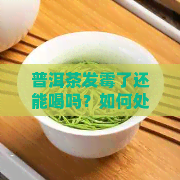 普洱茶发霉了还能喝吗？如何处理？