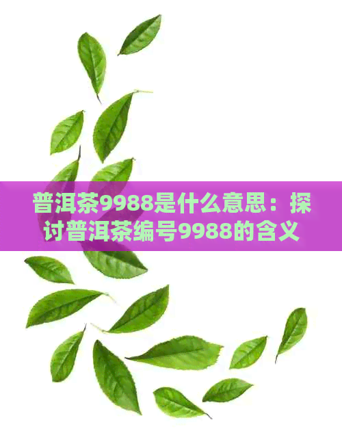 普洱茶9988是什么意思：探讨普洱茶编号9988的含义及品质特点。