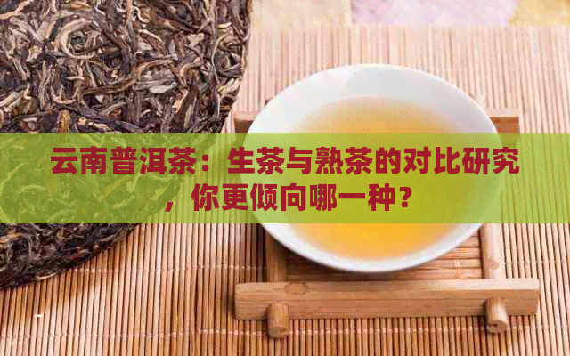 云南普洱茶：生茶与熟茶的对比研究，你更倾向哪一种？