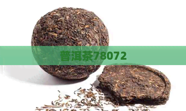 普洱茶78072