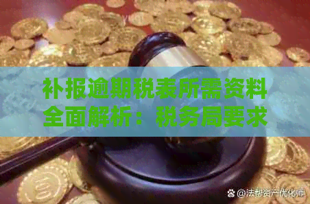 补报逾期税表所需资料全面解析：税务局要求及营业执照相关问题解答