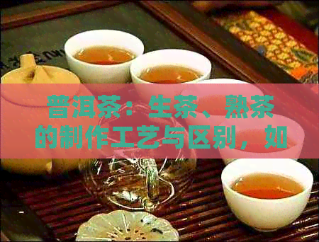 普洱茶：生茶、熟茶的制作工艺与区别，如何选择适合自己的普洱茶？