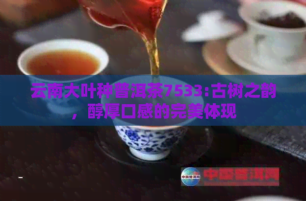 云南大叶种普洱茶7533:古树之韵，醇厚口感的完美体现