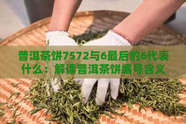 普洱茶饼7572与6最后的6代表什么：解读普洱茶饼编号含义