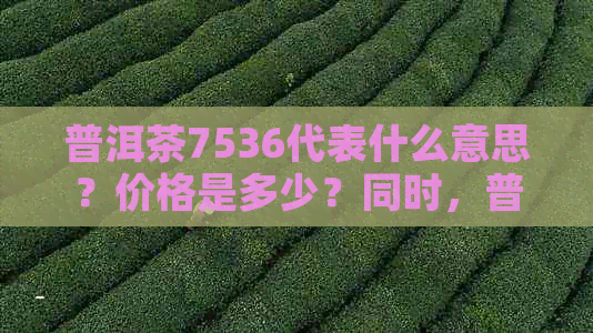 普洱茶7536代表什么意思？价格是多少？同时，普洱茶7541又有什么特点？