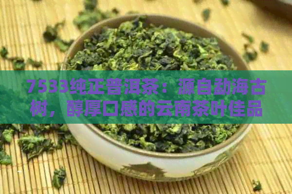 7533纯正普洱茶：源自勐海古树，醇厚口感的云南茶叶佳品