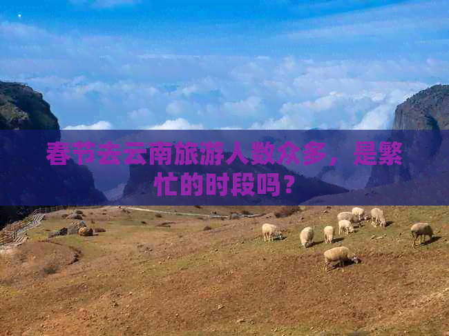 春节去云南旅游人数众多，是繁忙的时段吗？