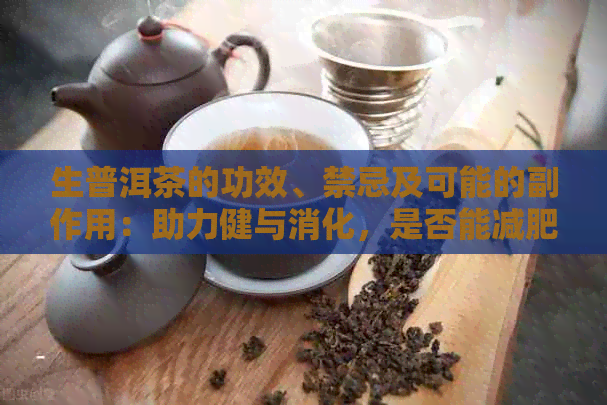 生普洱茶的功效、禁忌及可能的副作用：助力健与消化，是否能减肥？