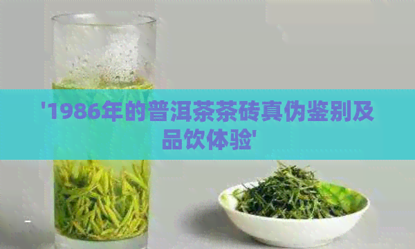 '1986年的普洱茶茶砖真伪鉴别及品饮体验'