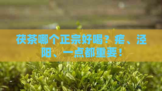 茯茶哪个正宗好喝？疟、泾阳、一点都重要！