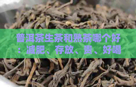 普洱茶生茶和熟茶哪个好：减肥、存放、贵、好喝？