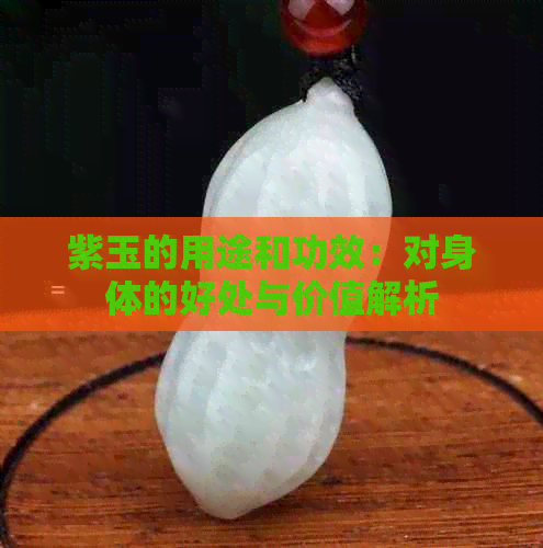 紫玉的用途和功效：对身体的好处与价值解析