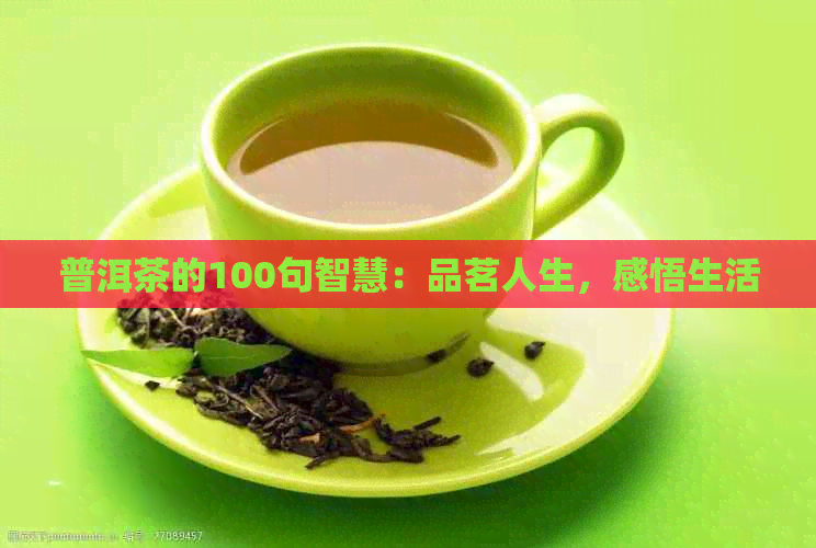 普洱茶的100句智慧：品茗人生，感悟生活