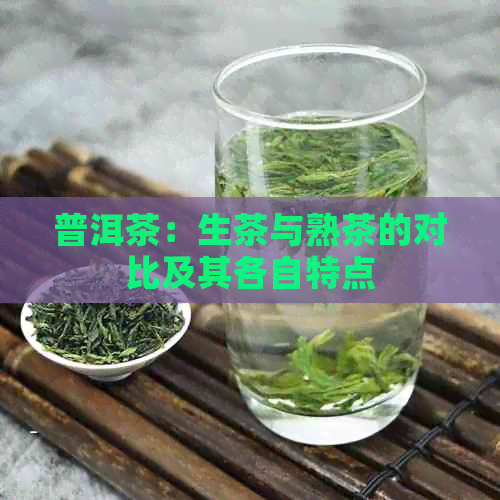 普洱茶：生茶与熟茶的对比及其各自特点