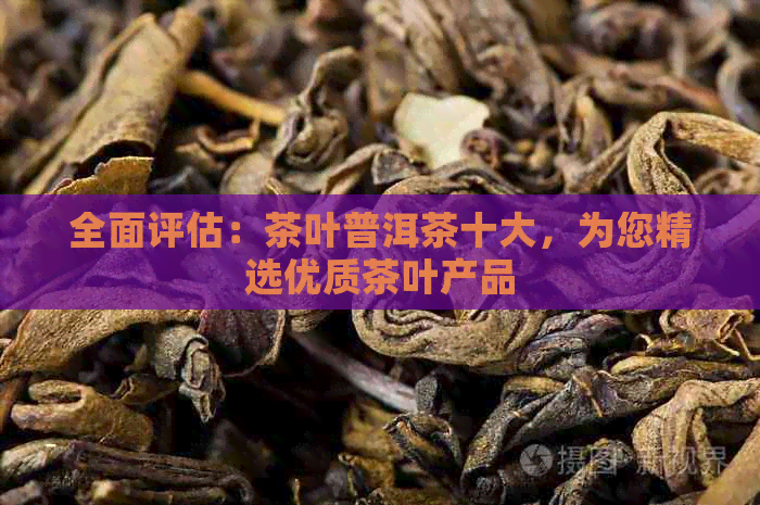 全面评估：茶叶普洱茶十大，为您精选优质茶叶产品