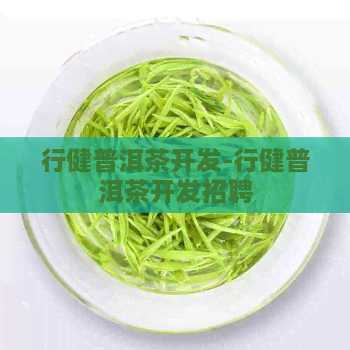 行健普洱茶开发-行健普洱茶开发招聘