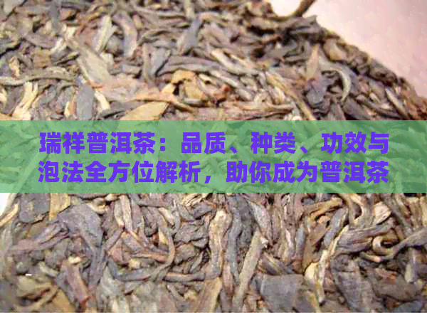 瑞祥普洱茶：品质、种类、功效与泡法全方位解析，助你成为普洱茶专家