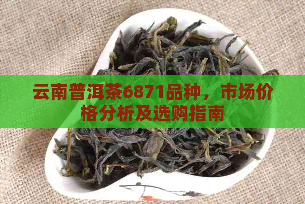 云南普洱茶6871品种，市场价格分析及选购指南