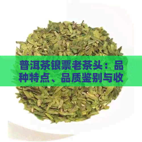 普洱茶银票老茶头：品种特点、品质鉴别与收藏价值全方位解析