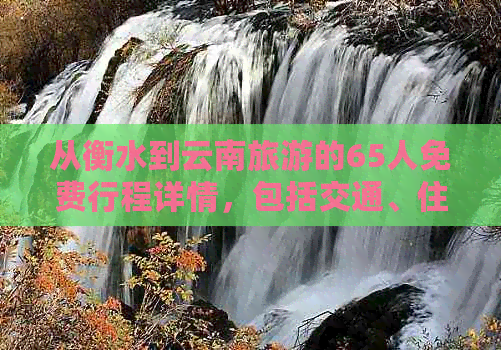 从衡水到云南旅游的65人免费行程详情，包括交通、住宿和景点费用