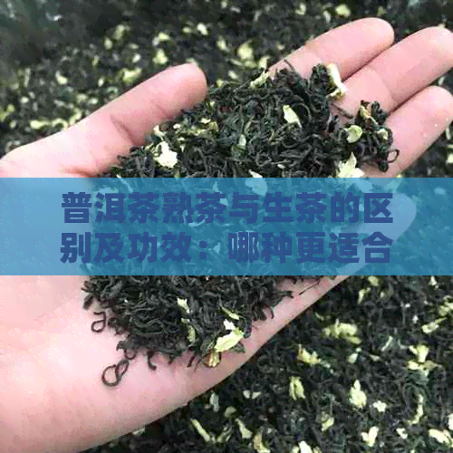 普洱茶熟茶与生茶的区别及功效：哪种更适合你？