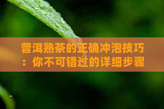 普洱熟茶的正确冲泡技巧：你不可错过的详细步骤