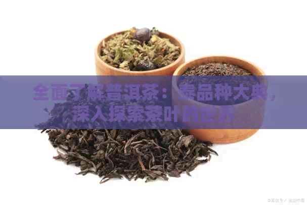 全面了解普洱茶：泰品种大典，深入探索茶叶的世界