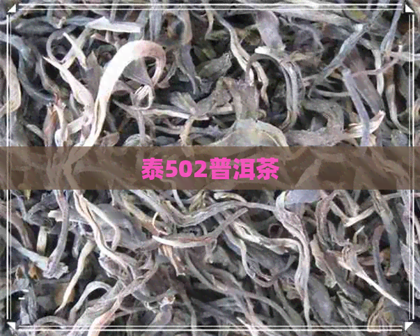 泰502普洱茶