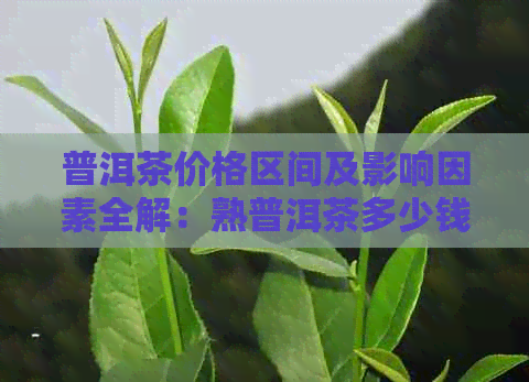 普洱茶价格区间及影响因素全解：熟普洱茶多少钱一斤？