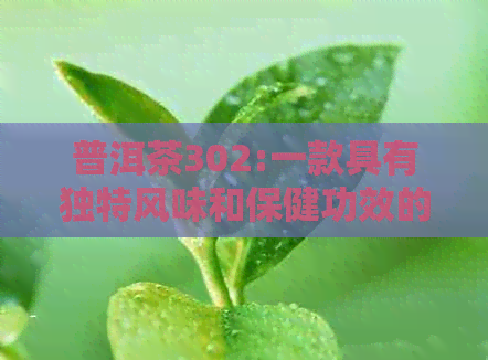 普洱茶302:一款具有独特风味和保健功效的茶叶品种及其制作工艺解析