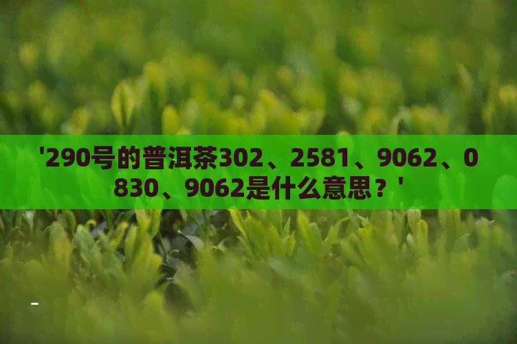 '290号的普洱茶302、2581、9062、0830、9062是什么意思？'