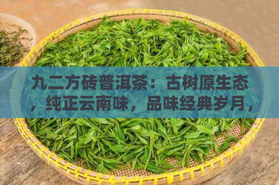 九二方砖普洱茶：古树原生态，纯正云南味，品味经典岁月，尊享优雅生活