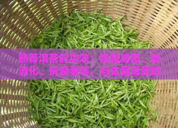 熟普洱茶的功效：降脂减肥、助消化、抗衰老等，与生普洱茶的区别与禁忌