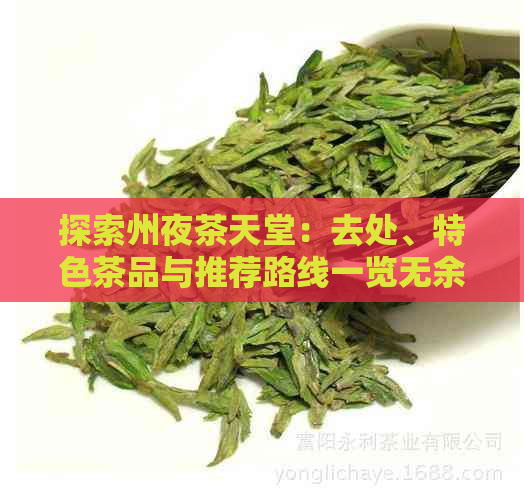 探索州夜茶天堂：去处、特色茶品与推荐路线一览无余