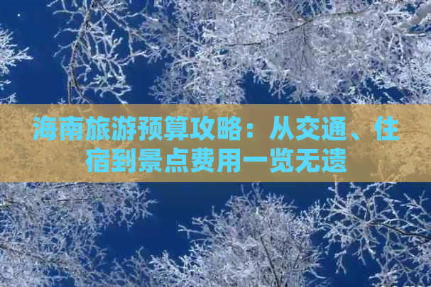 海南旅游预算攻略：从交通、住宿到景点费用一览无遗
