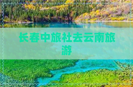 长春中旅社去云南旅游