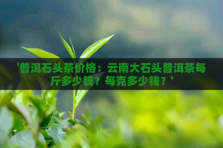 '普洱石头茶价格：云南大石头普洱茶每斤多少钱？每克多少钱？'