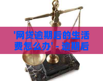 '网贷逾期后的生活费怎么办' - 逾期后费用解决方案