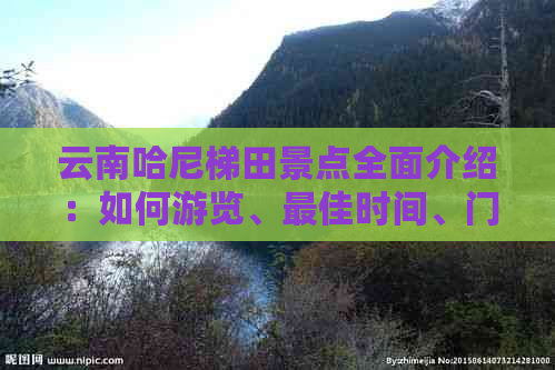 云南哈尼梯田景点全面介绍：如何游览、更佳时间、门票价格等详细信息