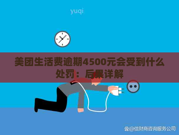 美团生活费逾期4500元会受到什么处罚：后果详解