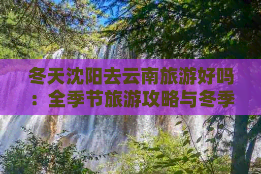 冬天沈阳去云南旅游好吗：全季节旅游攻略与冬季沈阳特色游玩