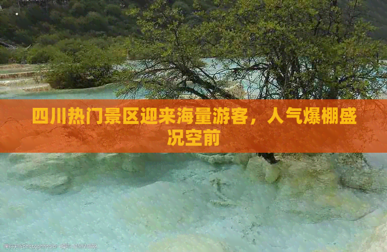 四川热门景区迎来海量游客，人气爆棚盛况空前